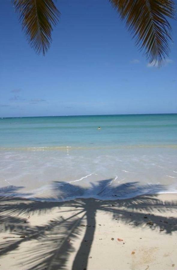 L'Hibiscus Piscine Et Plage Sainte-Luce Esterno foto